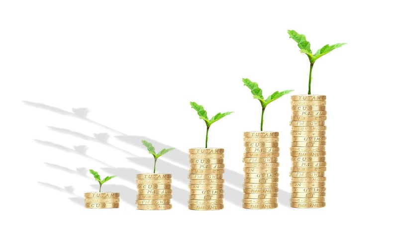 Debt Management